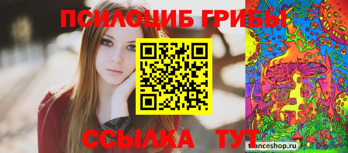 Псилоцибиновые грибы Psilocybe  Вход с VPN  цены наркотик  Горно-Алтайск 