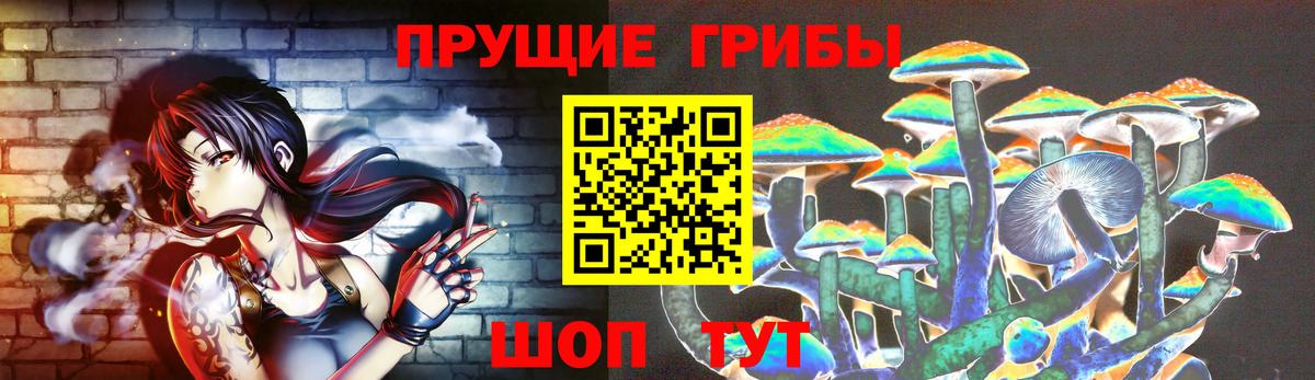 Псилоцибиновые грибы Cubensis Горно-Алтайск