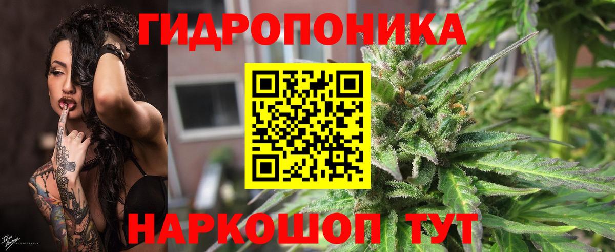 Конопля сатива  Вход с VPN  Горно-Алтайск  Шишки марихуана AK-47  Марихуана марихуана 